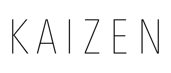 Kaizen Cameras